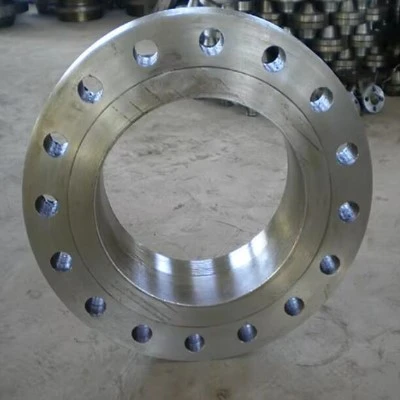 Alloy 400 Flanges