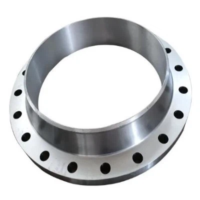 Monel K500 Flanges with OEM Service